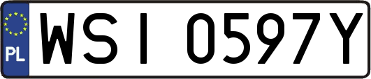 WSI0597Y