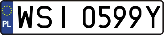 WSI0599Y