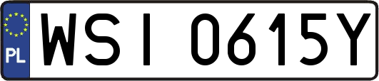 WSI0615Y