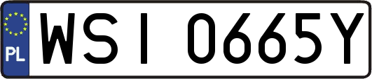 WSI0665Y