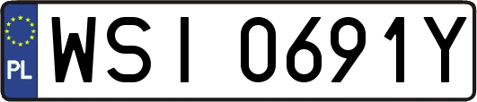WSI0691Y