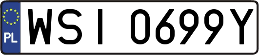 WSI0699Y