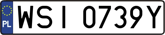 WSI0739Y