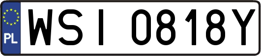 WSI0818Y
