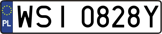 WSI0828Y