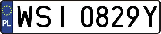 WSI0829Y