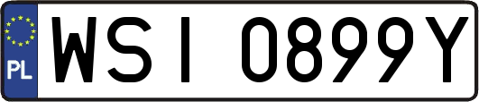 WSI0899Y