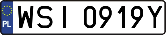 WSI0919Y