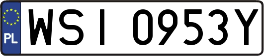 WSI0953Y