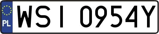 WSI0954Y