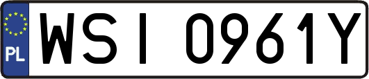 WSI0961Y
