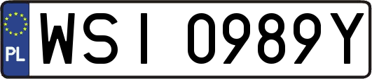 WSI0989Y