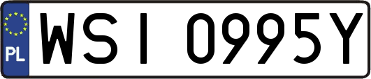 WSI0995Y