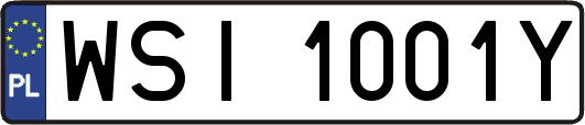 WSI1001Y