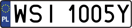 WSI1005Y