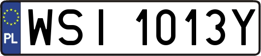 WSI1013Y