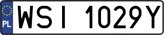 WSI1029Y