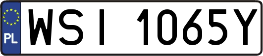 WSI1065Y