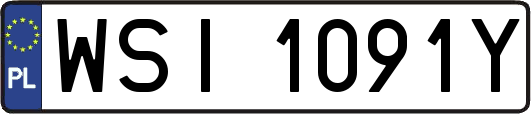 WSI1091Y