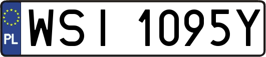 WSI1095Y