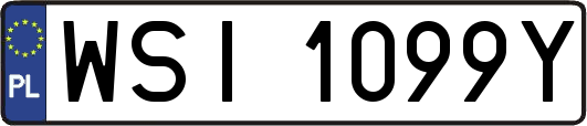 WSI1099Y