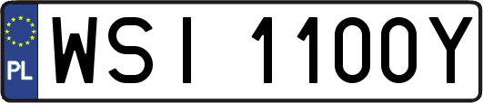 WSI1100Y