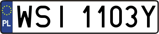 WSI1103Y