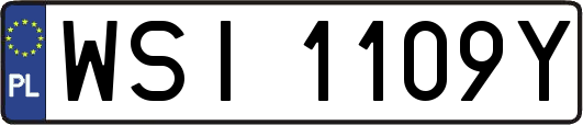 WSI1109Y