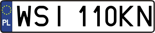 WSI110KN