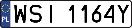 WSI1164Y