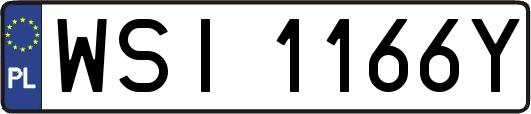 WSI1166Y