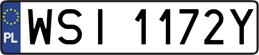 WSI1172Y