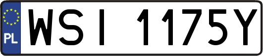 WSI1175Y