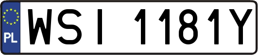 WSI1181Y