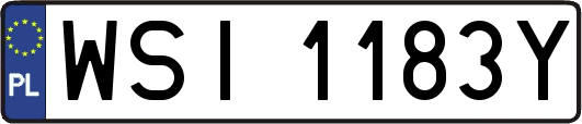 WSI1183Y
