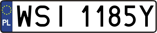 WSI1185Y