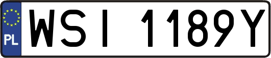 WSI1189Y