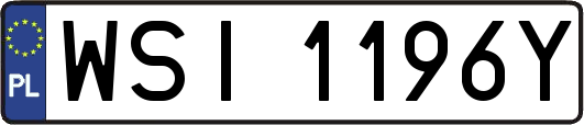 WSI1196Y