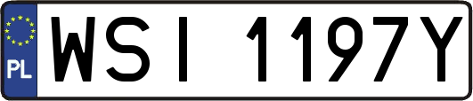 WSI1197Y
