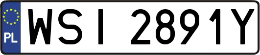 WSI2891Y