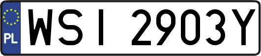 WSI2903Y