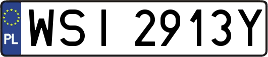 WSI2913Y