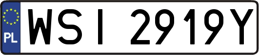 WSI2919Y