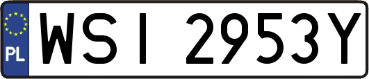 WSI2953Y