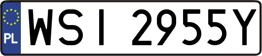 WSI2955Y