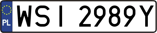 WSI2989Y