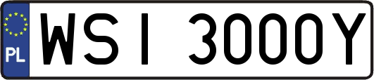 WSI3000Y