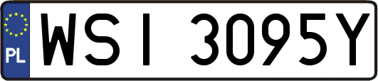 WSI3095Y