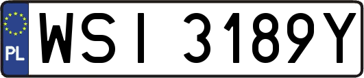 WSI3189Y