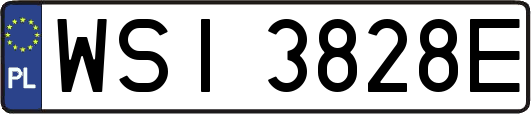 WSI3828E
